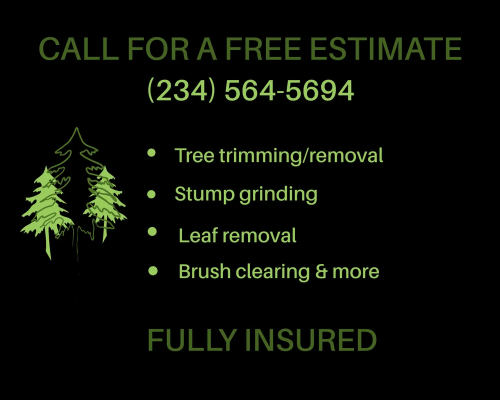 Custom yard cleanup service experts serving Salem, OH - Berdine's Outdoor Services