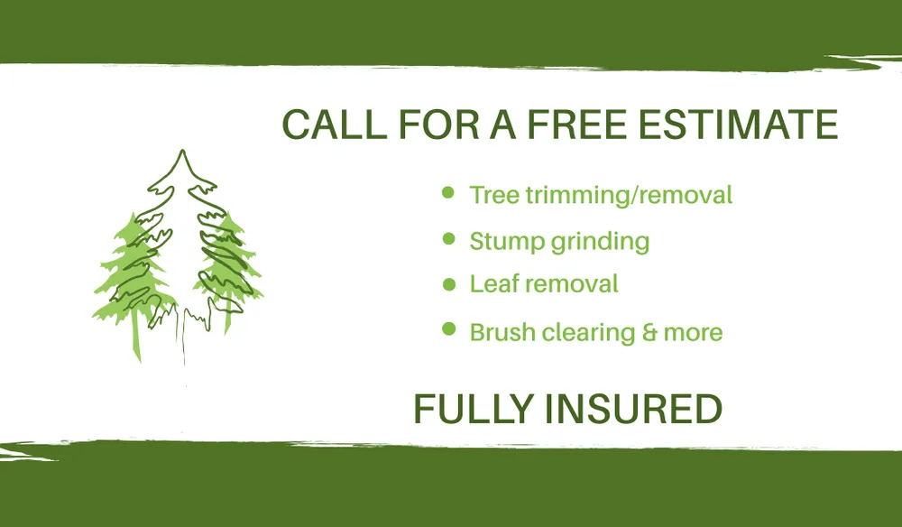 Expert landscape installation in Salem, OH - Berdine's Outdoor Services