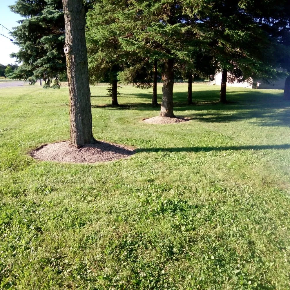 Professional yard maintenance in Rudolph, OH by Berfield Lawn and Landscape