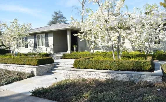 Expert outdoor landscaping for year-round maintenance in Sacramento, CA by Berg Enterprises Construction & Landscape