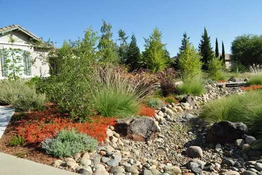 Top-rated lawn care service for beautiful yards in Sacramento, CA by Berg Enterprises Construction & Landscape