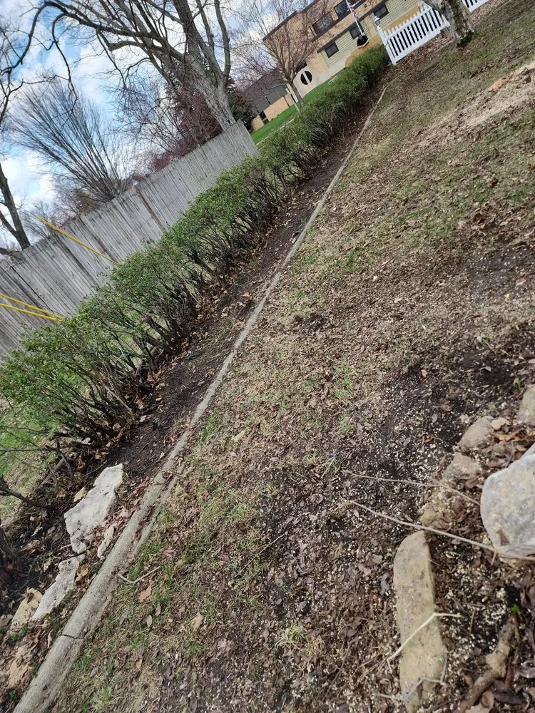 Professional yard cleanup service in Osage, IA - Berge Lawn Care Services and More
