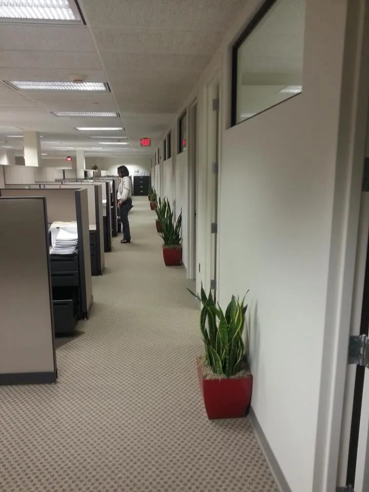 Trusted yard cleanup service in Rockaway, NJ by Bergen Botanicals