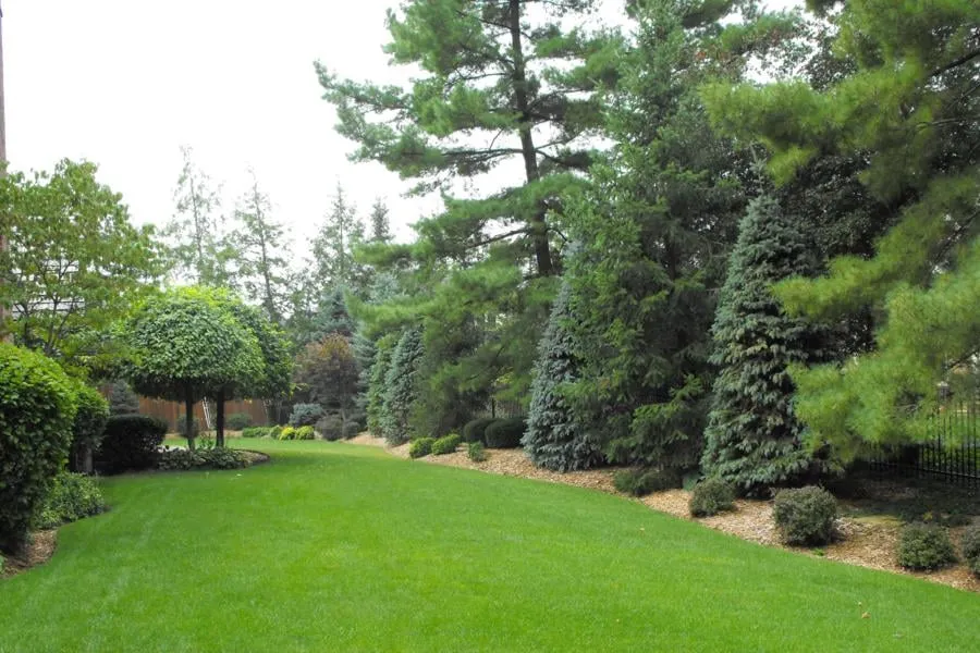 Reliable lawn mowing service in Indianapolis, IN by Berger Hargis Landscape Management