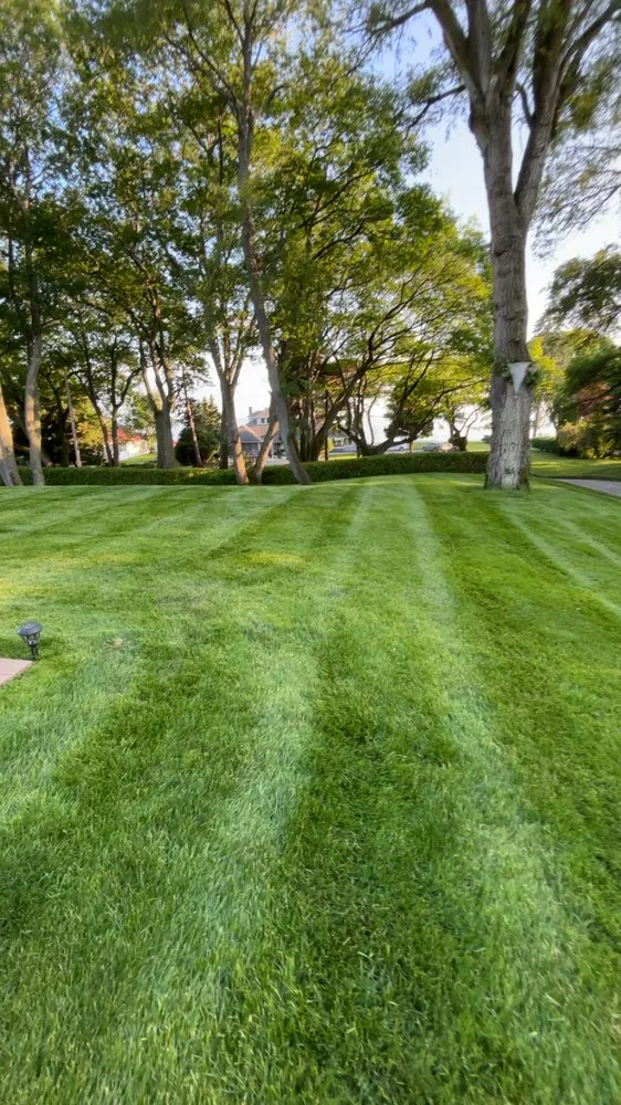 Reliable yard maintenance in Midland, MI by Berger Lawn Care