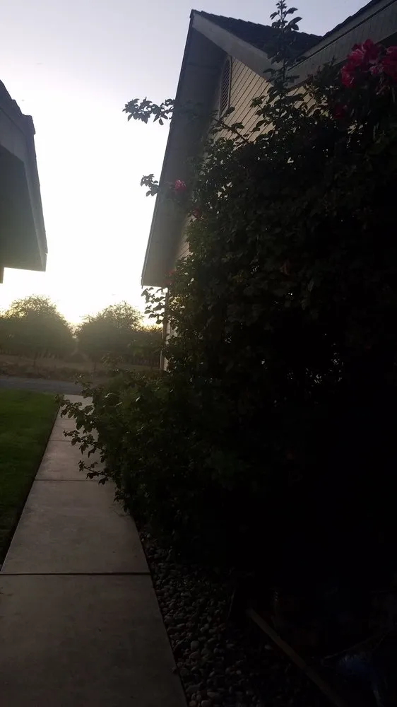 Professional landscape design for beautiful yards in Hilmar, CA by Bergman Landscape