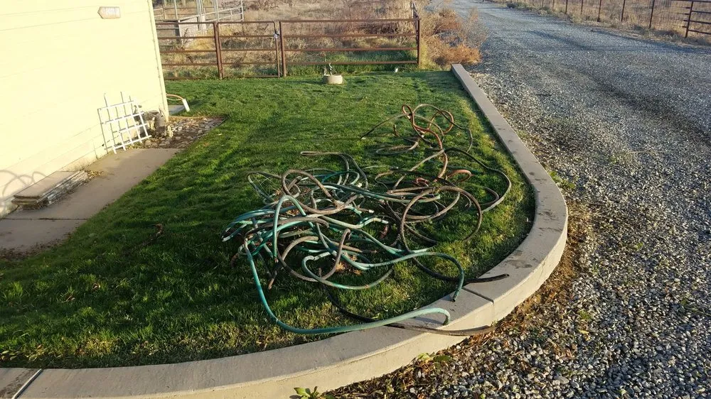 Reliable yard maintenance in Hilmar, CA - Bergman Landscape