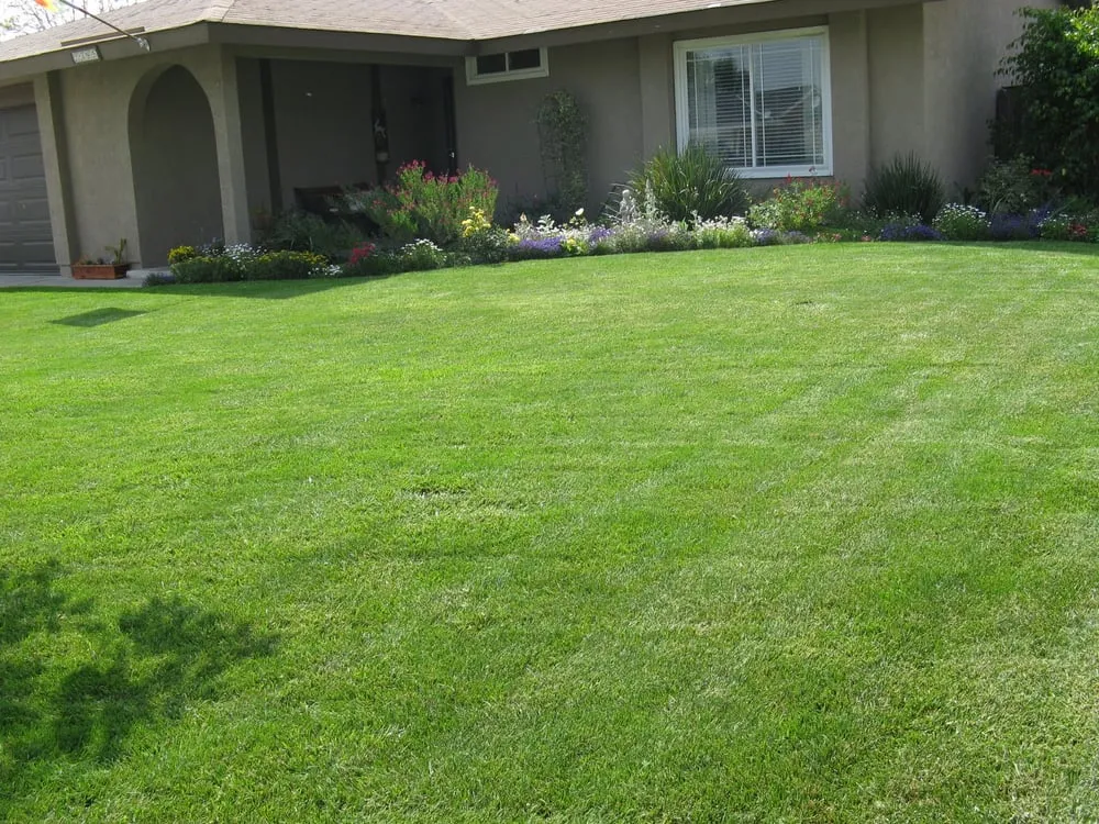 Reliable lawn care service in Salem, OR - Bergman Landscape Maintenance