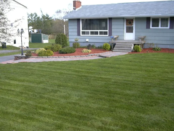 Expert yard cleanup service for outdoor upgrades in Salem, OR by Bergman Landscape Maintenance