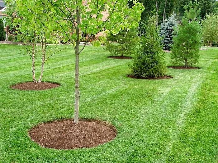 Affordable landscape installation for year-round maintenance in Salem, OR by Bergman Landscape Maintenance