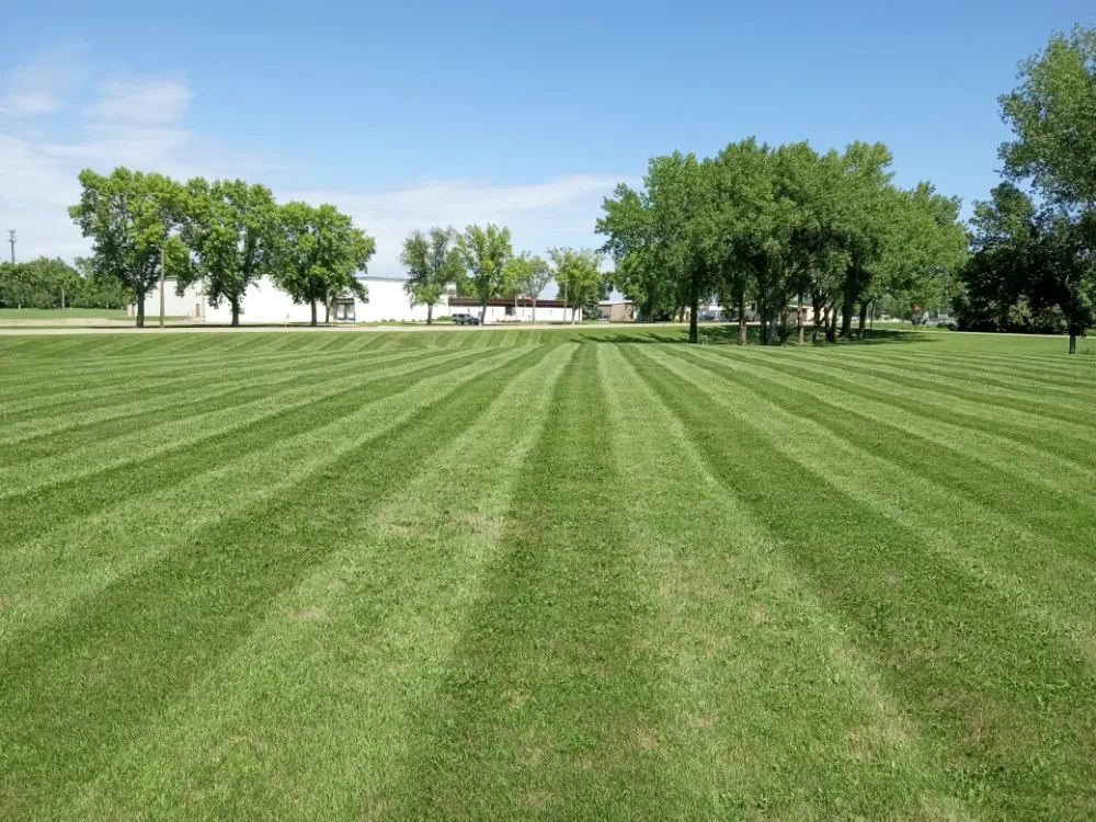 Affordable landscaping services experts serving Montevideo, MN - Bergs Lawn Care