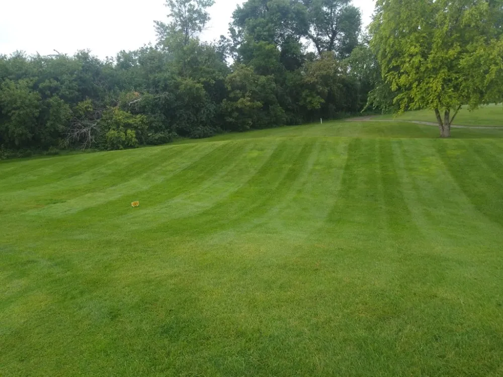 Local lawn care service experts serving Montevideo, MN - Bergs Lawn Care
