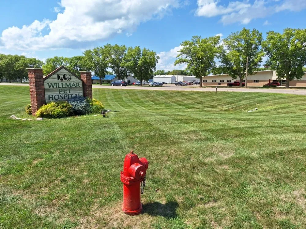 Professional garden landscaping in Montevideo, MN by Bergs Lawn Care