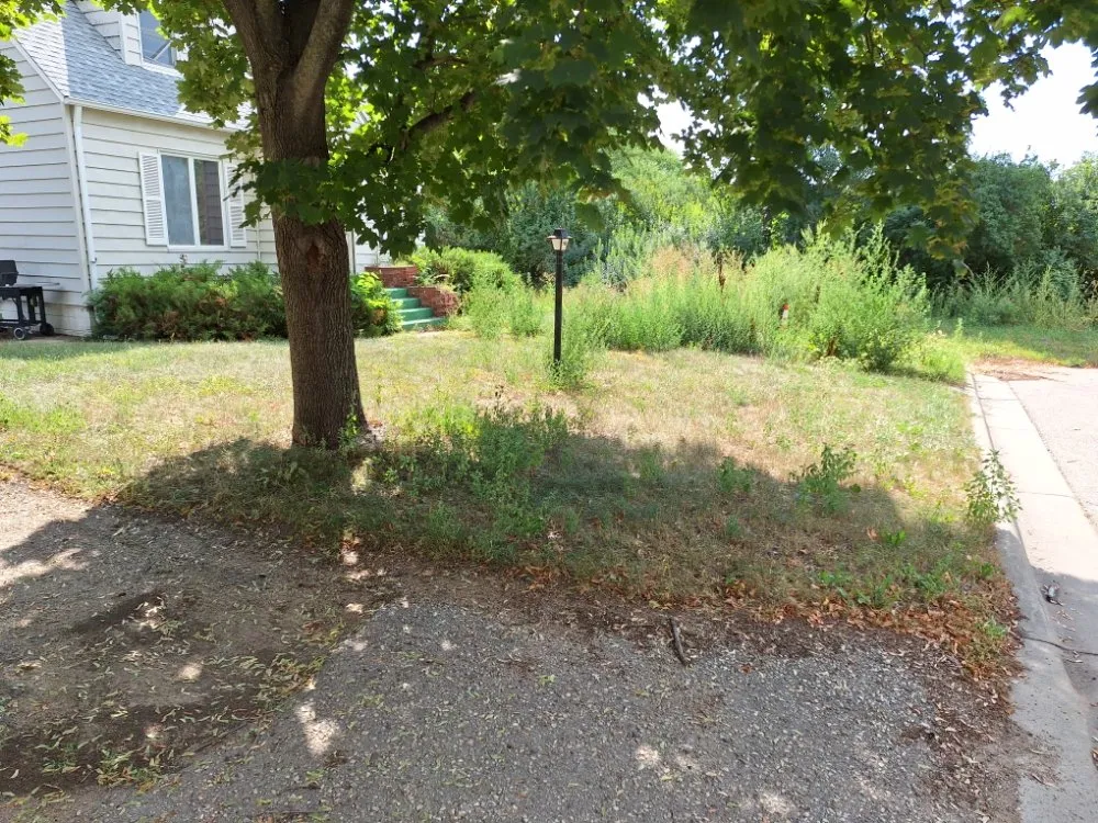 Affordable residential landscaping in Montevideo, MN - Bergs Lawn Care