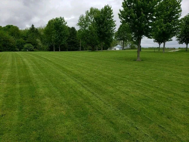 Professional residential landscaping experts serving Morrisonville, IL - Bergschneider Landscaping