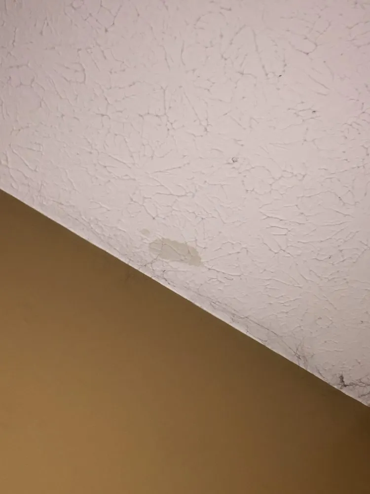 Affordable yard maintenance for year-round maintenance across Lafayette, IN - Bergstrom Home Improvement