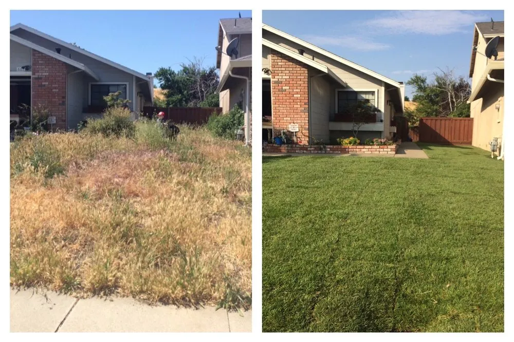 Reliable landscape design in Lafayette, CA - Beritzhoff Lawn & Garden