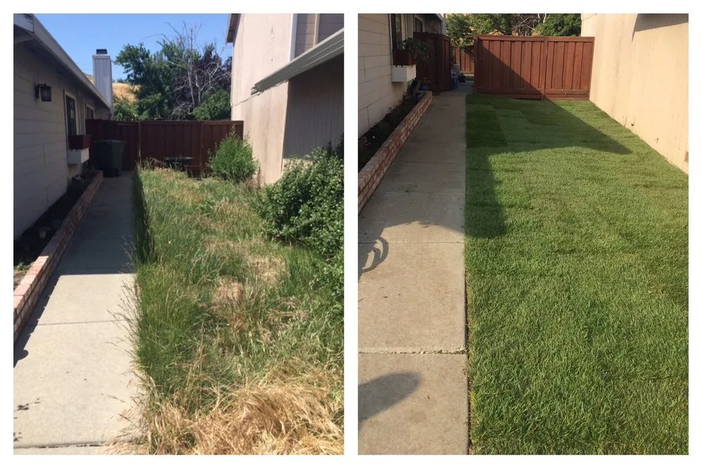 Reliable residential landscaping with custom design in Lafayette, CA by Beritzhoff Lawn & Garden