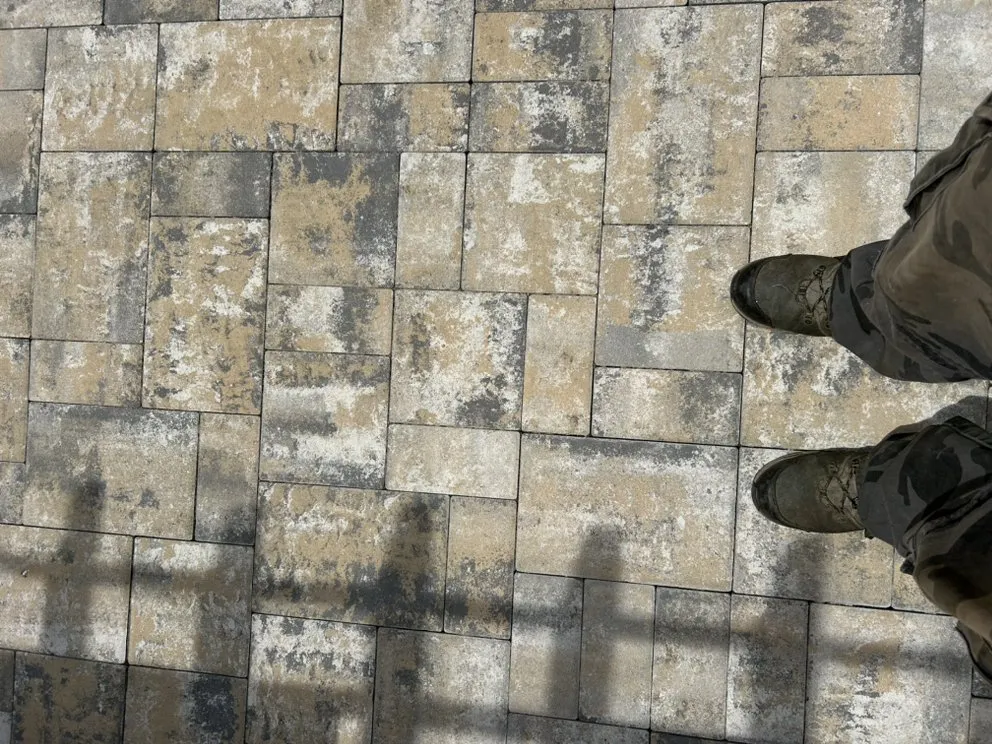 Expert landscape installation in Norfolk, VA by Berkley & Stafford Property Management Services