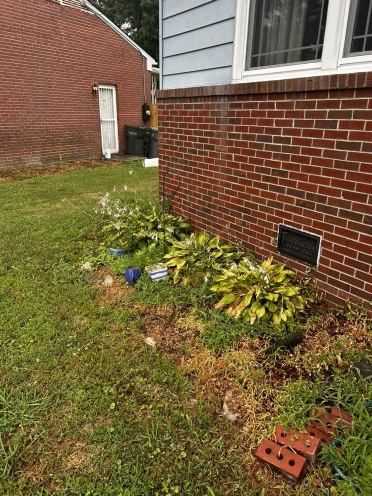 Local landscaping services in Norfolk, VA by Berkley & Stafford Property Management Services