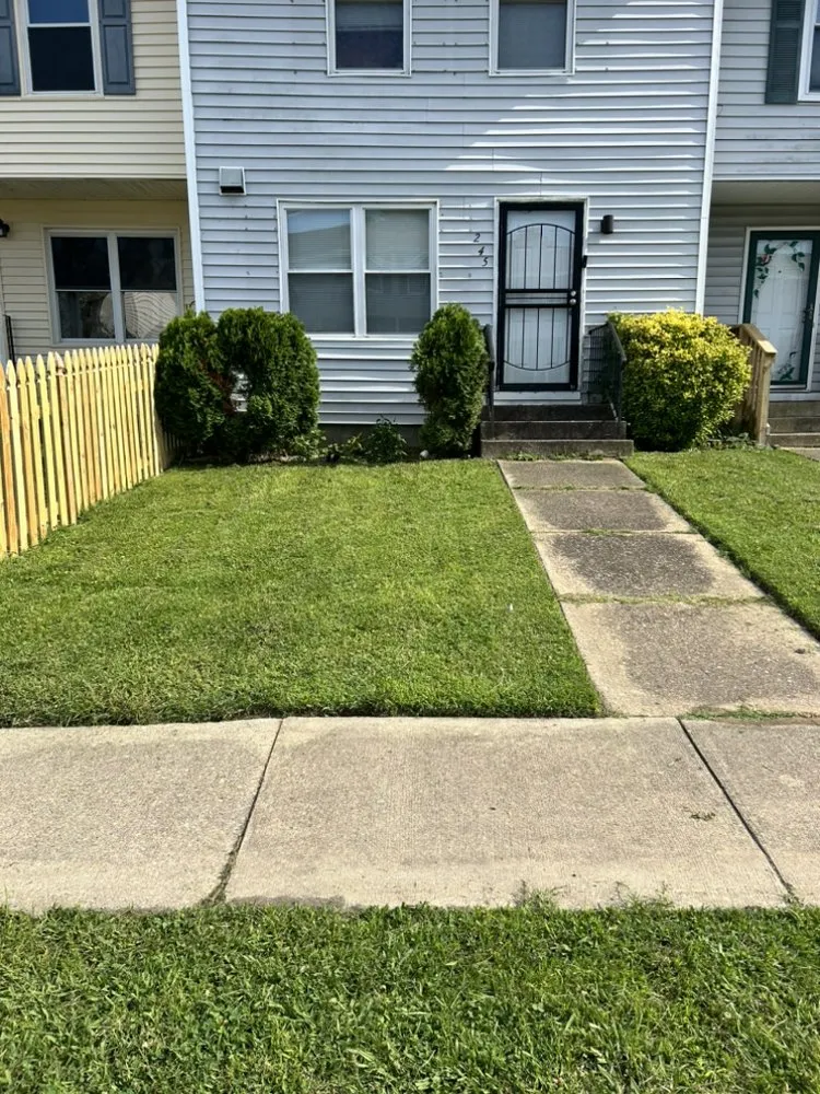 Affordable lawn mowing service experts serving Norfolk, VA - Berkley & Stafford Property Management Services