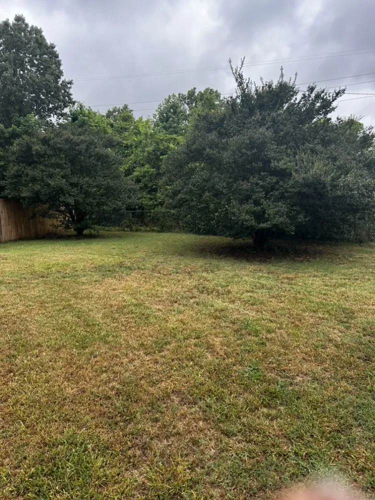 Expert yard cleanup service experts serving Norfolk, VA - Berkley & Stafford Property Management Services