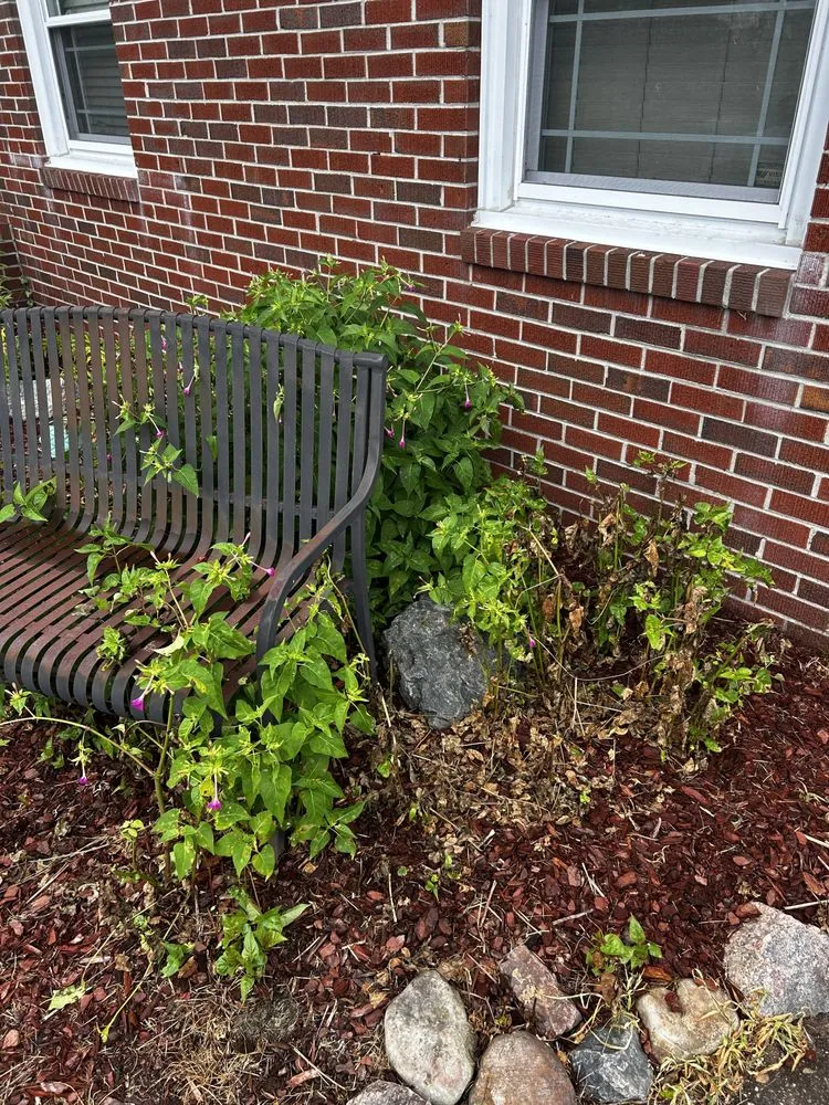 Reliable landscape installation in Norfolk, VA - Berkley & Stafford Property Management Services