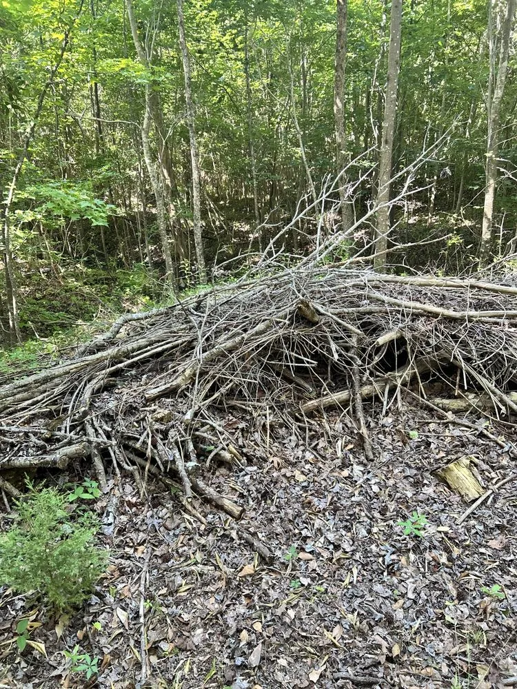 Affordable outdoor landscaping for homes in Norfolk, VA by Berkley & Stafford Property Management Services