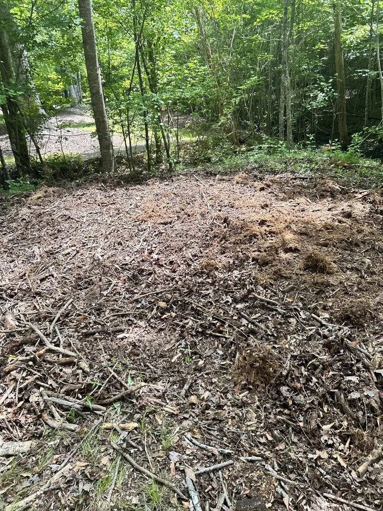 Custom lawn care service near you in Norfolk, VA by Berkley & Stafford Property Management Services