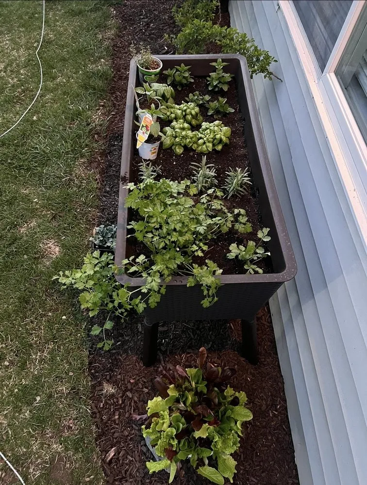 Affordable yard maintenance in Pittsfield, MA by Berkshire Lawn Clean Up