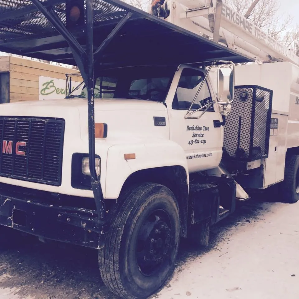 Reliable lawn care service in Pittsfield, MA by Berkshire Tree Service