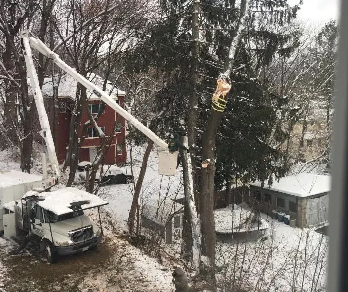 Top-rated lawn mowing service in Pittsfield, MA by Berkshire Tree Service