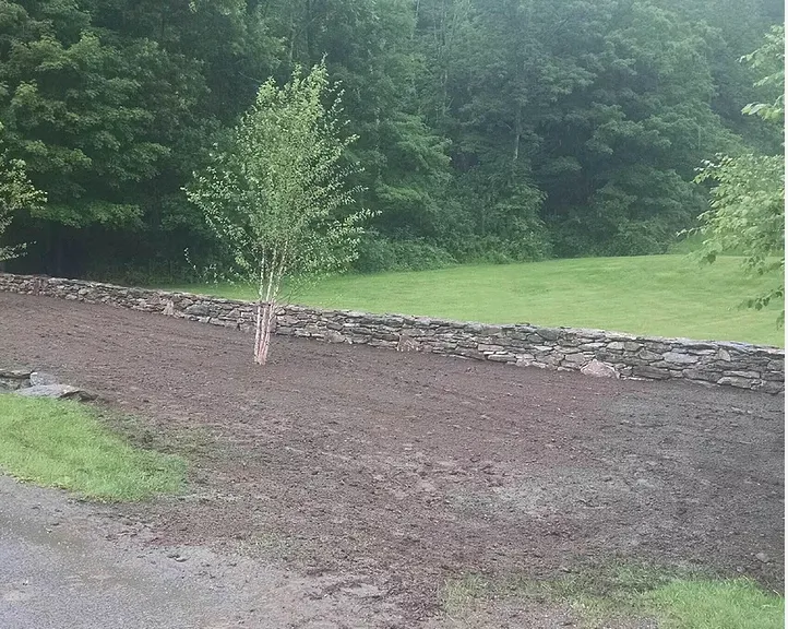 Local yard cleanup service in Pittsfield, MA by Berkshire Tree Service