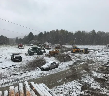 Berkshire Tree Service Logo