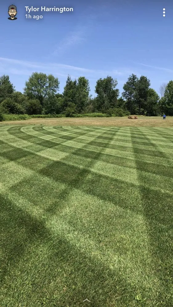 Top-rated yard maintenance for year-round maintenance across Dalton, MA - Berkshire Turfgrass Specialists
