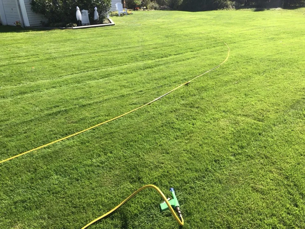 Custom residential landscaping experts serving Dalton, MA - Berkshire Turfgrass Specialists