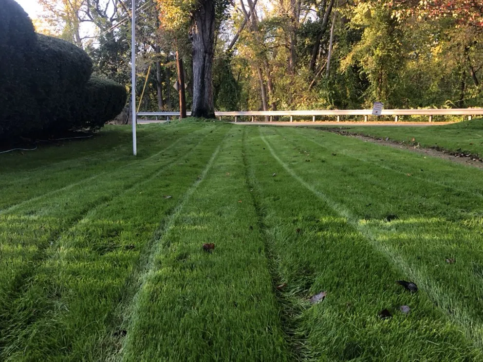 Expert landscaping services in Dalton, MA by Berkshire Turfgrass Specialists