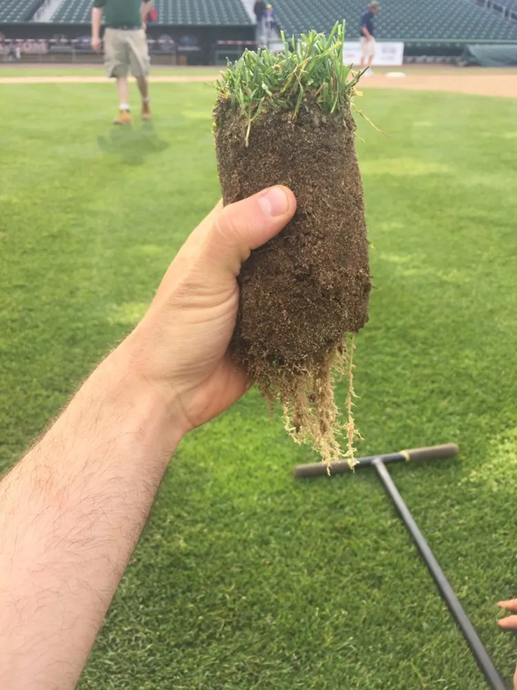 Reliable lawn care service in Dalton, MA by Berkshire Turfgrass Specialists