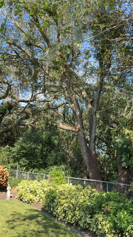 Local residential landscaping in Lake Wales, FL by Berlins Multching Services