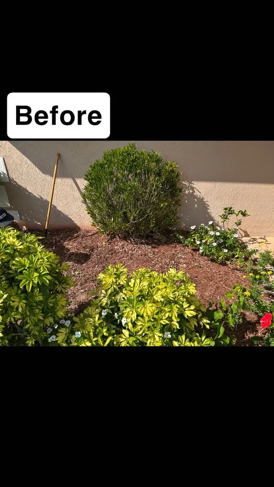 Professional residential landscaping experts serving Lake Wales, FL - Berlins Multching Services