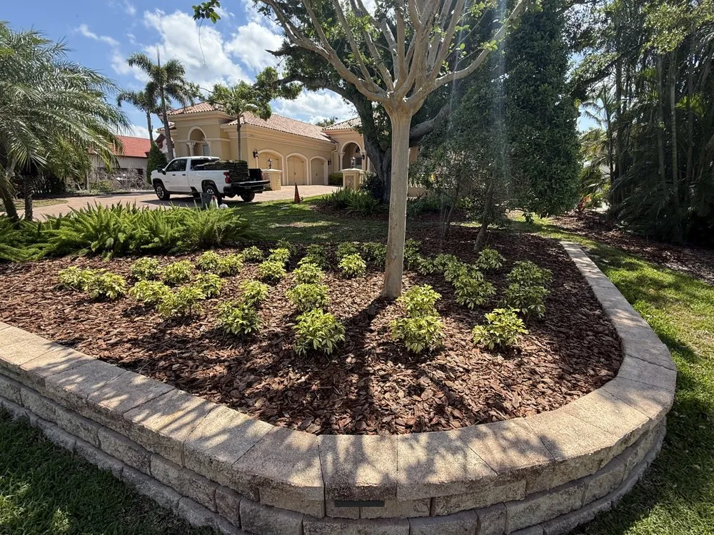 Top-rated landscape installation in Saint Petersburg, FL - Berman's Botanicals