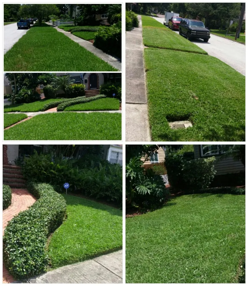 Professional lawn mowing service in Saint Petersburg, FL by Berman's Botanicals
