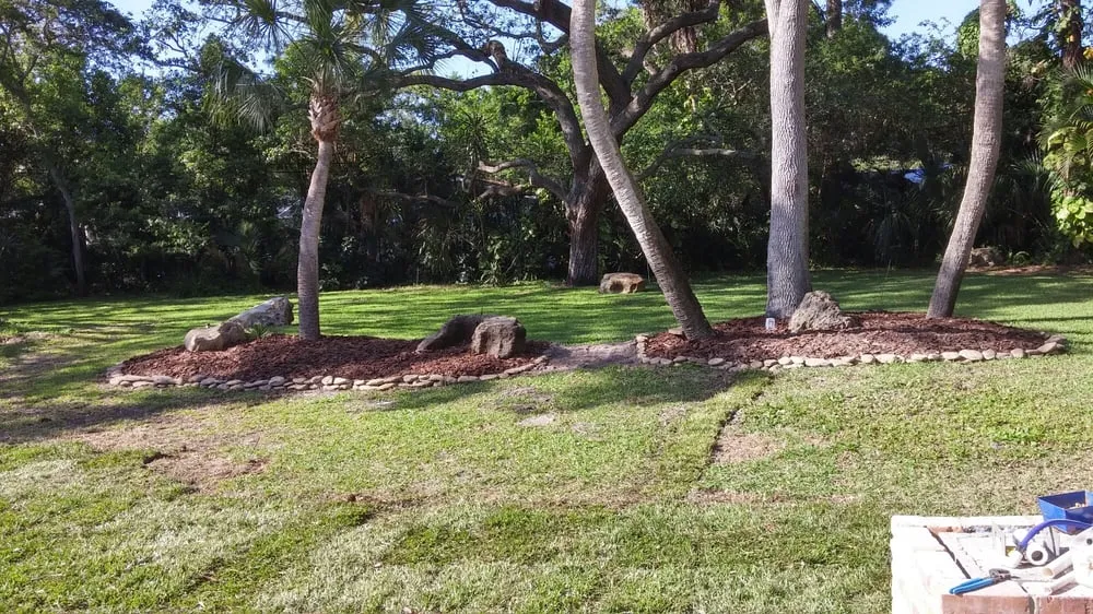 Expert outdoor landscaping for year-round maintenance in Saint Petersburg, FL by Berman's Botanicals