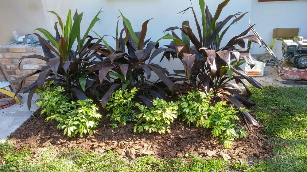 Reliable lawn mowing service in Saint Petersburg, FL by Berman's Botanicals