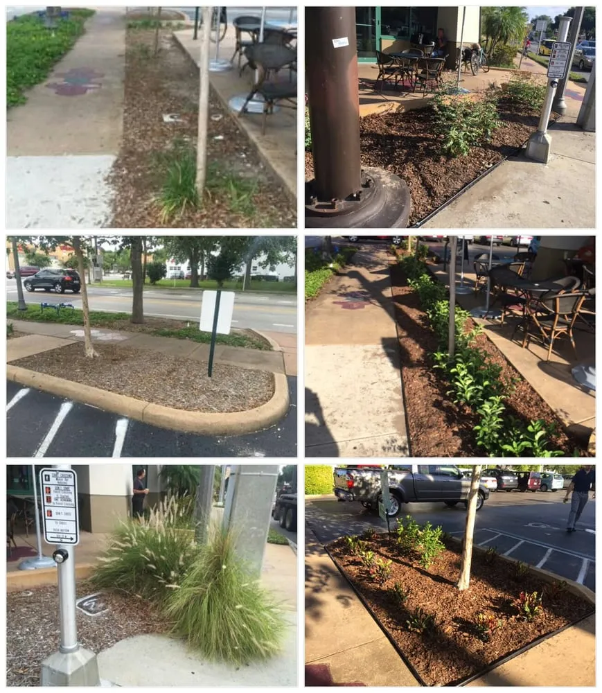 Custom outdoor landscaping experts serving Saint Petersburg, FL - Berman's Botanicals