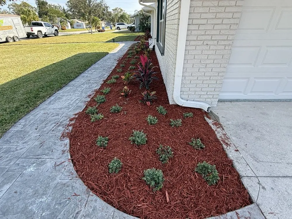 Professional outdoor landscaping in Saint Petersburg, FL - Berman's Botanicals
