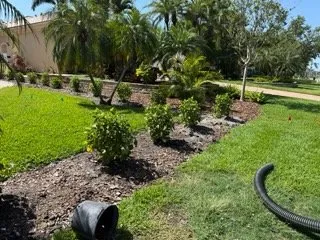 Professional yard maintenance with custom design across Saint Petersburg, FL - Berman's Botanicals