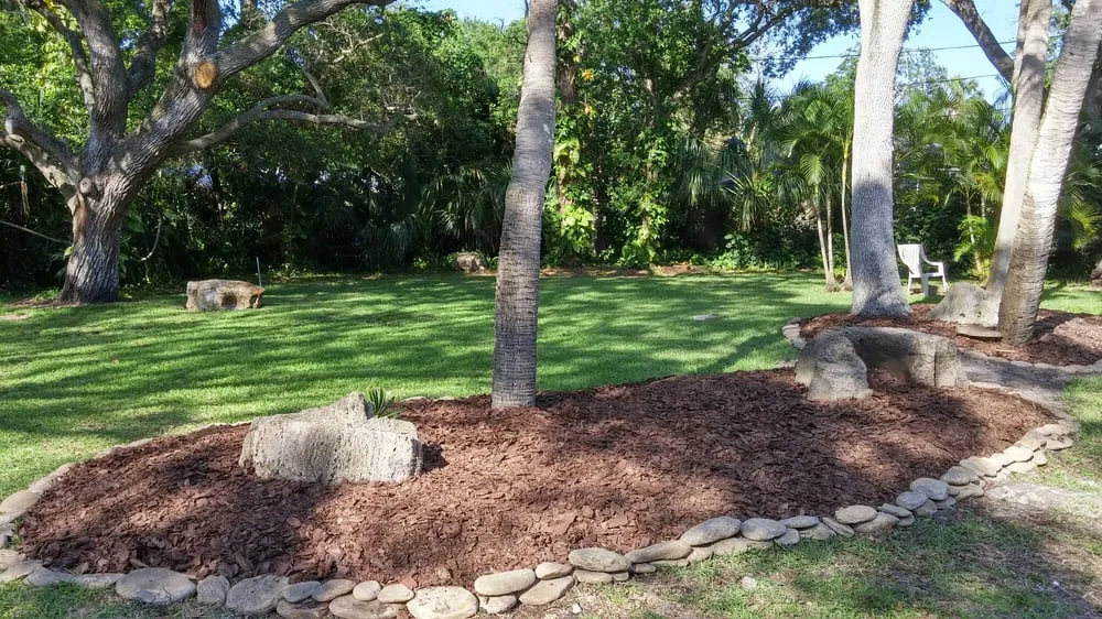 Custom landscape design in Saint Petersburg, FL - Berman's Botanicals