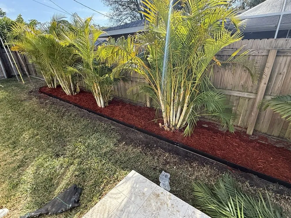 Local lawn mowing service for year-round maintenance in Saint Petersburg, FL by Berman's Botanicals