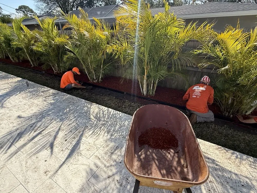 Top-rated landscape installation near you across Saint Petersburg, FL - Berman's Botanicals